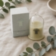 Soy Candle in Reusable Glass Dish - Sugared Grapefruit