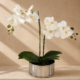 Planter French XL – Elegant Home Décor