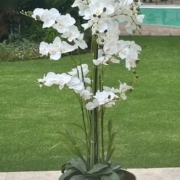 Orchid 180cm – 13 Stem Artificial Orchid