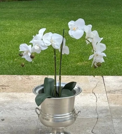 Orchid 62cm – 2 Leaves & 2 Branches
