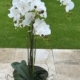 Orchid 98cm – 6 Leaves, 6 Branches Artificial Orchid