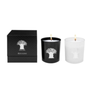 Soy Candle 230ml Glass & Luxury Box